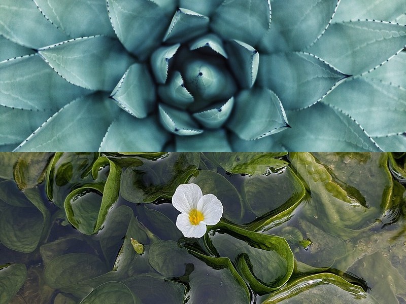 無(wú)線(xiàn)藍牙音箱怎么用？