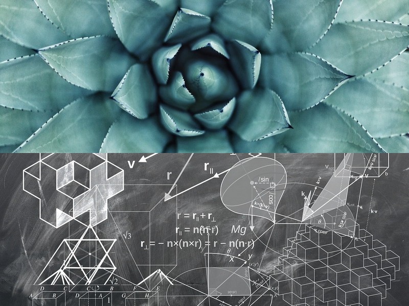 空調扇好用嗎？