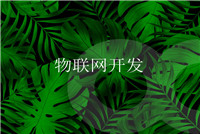 智能家居硬件開(kāi)發(fā)平臺