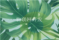 軟件開(kāi)發(fā)領(lǐng)域未來(lái)是否會(huì )持續釋放發(fā)展機會(huì )